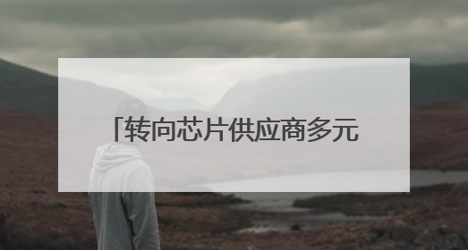 转向芯片供应商多元化，OpenAI寻求降低对英伟达依赖