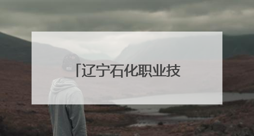 辽宁石化职业技术学院：党建联学共建，政行园企校协同育人