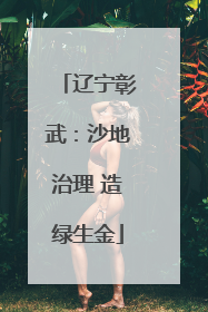 辽宁彰武：沙地治理 造绿生金