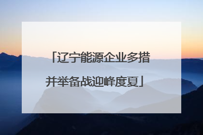 辽宁能源企业多措并举备战迎峰度夏