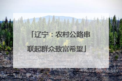 辽宁：农村公路串联起群众致富希望