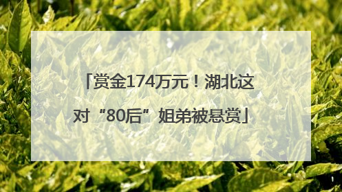 赏金174万元！湖北这对“80后”姐弟被悬赏