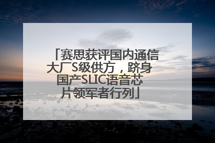 赛思获评国内通信大厂S级供方，跻身国产SLIC语音芯片领军者行列