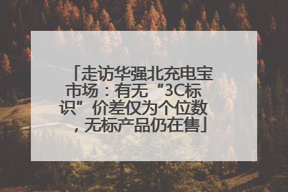 走访华强北充电宝市场：有无“3C标识”价差仅为个位数，无标产品仍在售