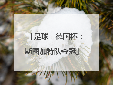 足球｜德国杯：斯图加特队夺冠