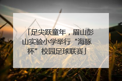 足尖跃童年，眉山彭山实验小学举行“海豚杯”校园足球联赛