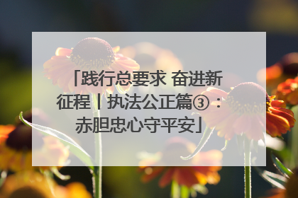 践行总要求 奋进新征程丨执法公正篇③：赤胆忠心守平安