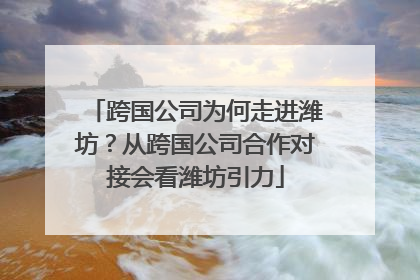 跨国公司为何走进潍坊？从跨国公司合作对接会看潍坊引力