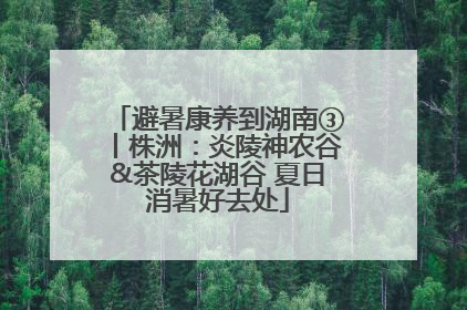 避暑康养到湖南③丨株洲：炎陵神农谷&茶陵花湖谷 夏日消暑好去处