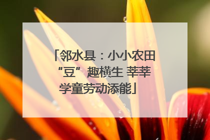 邻水县：小小农田“豆”趣横生 莘莘学童劳动添能