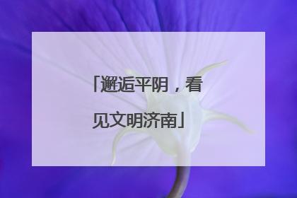 邂逅平阴，看见文明济南