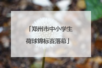 郑州市中小学生荷球锦标赛落幕