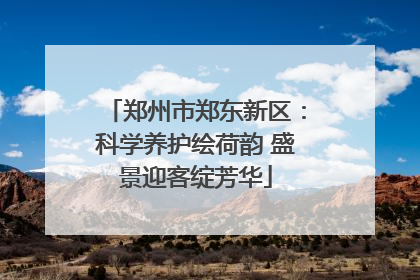 郑州市郑东新区：科学养护绘荷韵 盛景迎客绽芳华