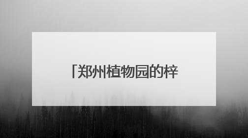 郑州植物园的梓树结“豆角”了