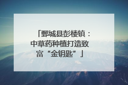 鄄城县彭楼镇：中草药种植打造致富“金钥匙”