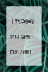 重温峥嵘岁月 凝聚奋进力量