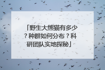 野生大熊猫有多少？种群如何分布？科研团队实地探秘