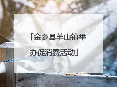 金乡县羊山镇举办促消费活动