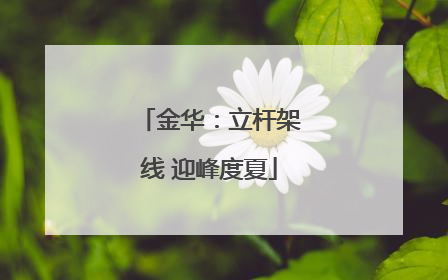 金华：立杆架线 迎峰度夏