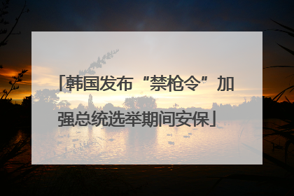 韩国发布“禁枪令”加强总统选举期间安保