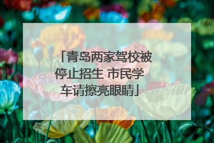 青岛两家驾校被停止招生 市民学车请擦亮眼睛
