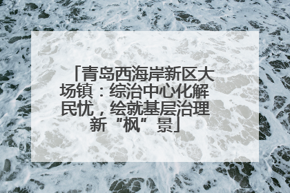 青岛西海岸新区大场镇：综治中心化解民忧，绘就基层治理新“枫”景