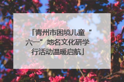 青州市困境儿童“六一”地名文化研学行活动温暖启航
