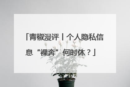 青椒漫评丨个人隐私信息“裸奔”何时休？