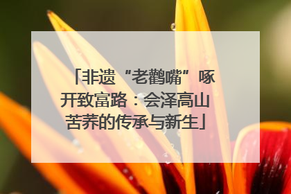 非遗“老鹳嘴”啄开致富路：会泽高山苦荞的传承与新生