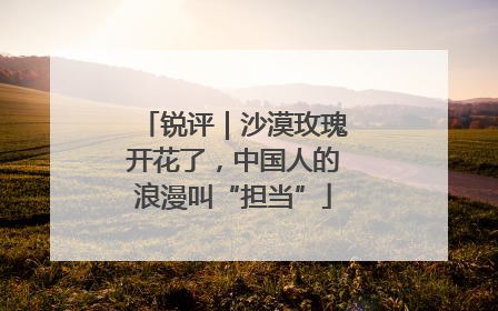 锐评｜沙漠玫瑰开花了，中国人的浪漫叫“担当”