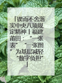 锲而不舍落实中央八项规定精神丨福建莆田：“一张表”“一张图”为基层减轻“数字负担”