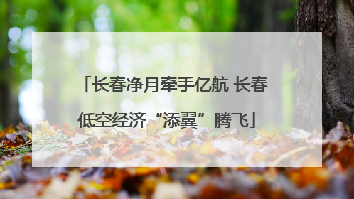 长春净月牵手亿航 长春低空经济“添翼”腾飞
