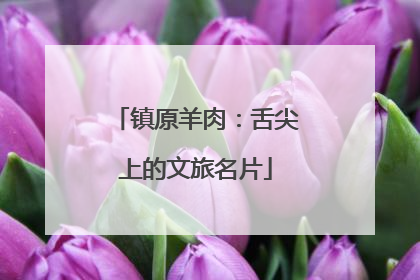 镇原羊肉：舌尖上的文旅名片