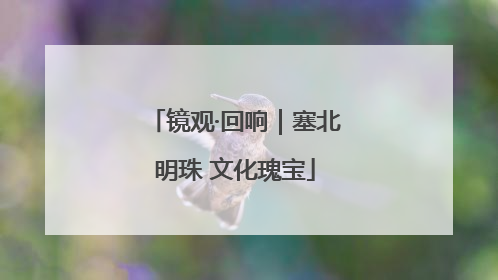 镜观·回响｜塞北明珠 文化瑰宝