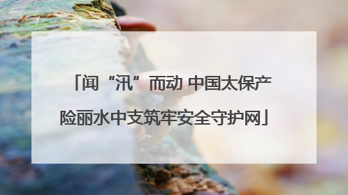 闻“汛”而动 中国太保产险丽水中支筑牢安全守护网