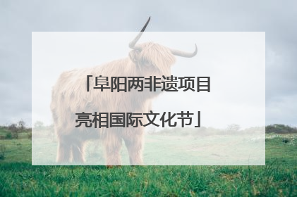 阜阳两非遗项目亮相国际文化节
