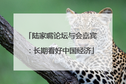 陆家嘴论坛与会嘉宾：长期看好中国经济