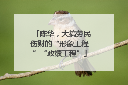 陈华，大搞劳民伤财的“形象工程”“政绩工程”