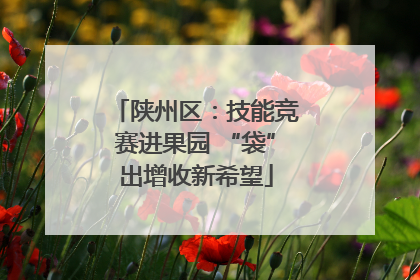 陕州区：技能竞赛进果园 “袋”出增收新希望