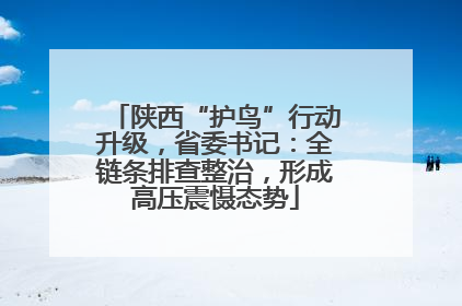 陕西“护鸟”行动升级，省委书记：全链条排查整治，形成高压震慑态势