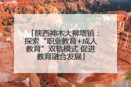 陕西神木大柳塔镇：探索“职业教育+成人教育”双轨模式 促进教育融合发展