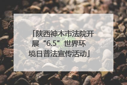 陕西神木市法院开展“6.5”世界环境日普法宣传活动