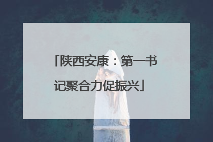 陕西安康：第一书记聚合力促振兴