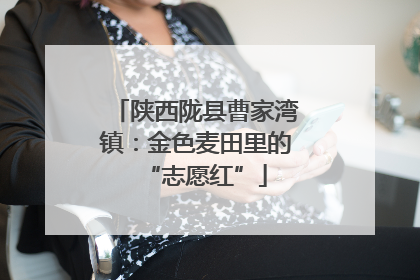 陕西陇县曹家湾镇：金色麦田里的“志愿红”