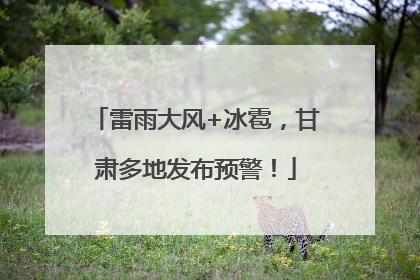 雷雨大风+冰雹，甘肃多地发布预警！