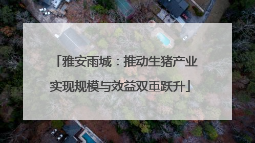 雅安雨城：推动生猪产业实现规模与效益双重跃升