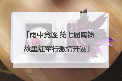 雨中竞逐 第七届陶铸故里红军行激情开赛