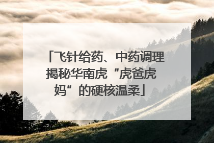 飞针给药、中药调理 揭秘华南虎“虎爸虎妈”的硬核温柔