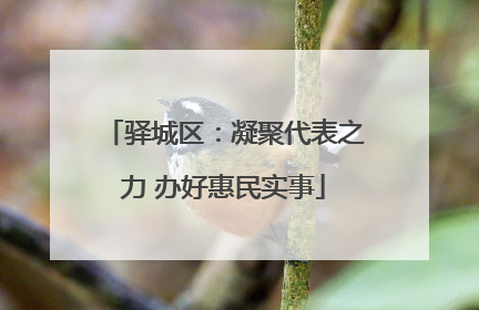 驿城区：凝聚代表之力 办好惠民实事