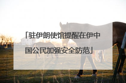 驻伊朗使馆提醒在伊中国公民加强安全防范